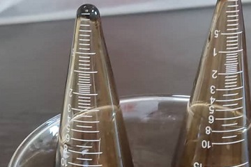 Protein Hydrolysate
